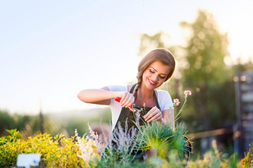 Professional lawn mowing service in Leyton