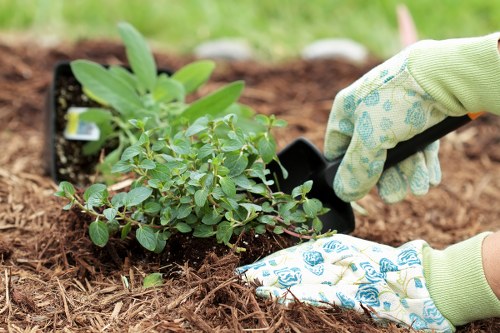 Sustainable garden practices with native plants in Leyton