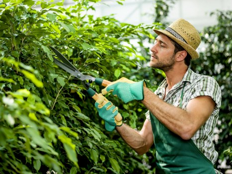 Sustainable landscaping features including rainwater harvesting and solar lighting in Leyton