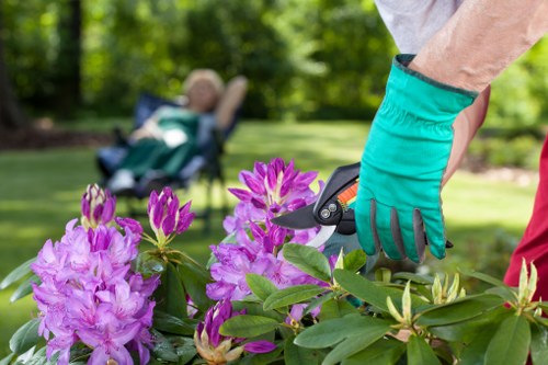 Healthy and well-lopped trees enhancing property appeal