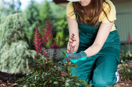 Leyton garden showcasing a variety of climate-suited plants